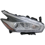 Order Passenger Side Headlamp Assembly Composite - NI2503233C For Your Vehicle