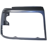 Order Passenger Side Headlamp Door - FO2513130PP For Your Vehicle