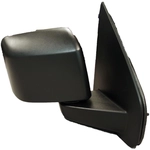 Order Passenger Side Outside Rear View Mirror - FO1321244 For Your Vehicle
