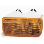 Order Passenger Side Parklamp Assembly by DEPO - 333-1625R-UC For Your Vehicle