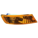 Order Passenger Side Parklamp Assembly by DEPO - 333-1631R-AC For Your Vehicle