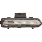 Order Passenger Side Parklamp Assembly by DEPO - 336-1608R-AC For Your Vehicle