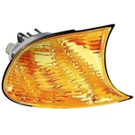 Order Passenger Side Parklamp Assembly by DEPO - 444-1512R-AS For Your Vehicle