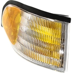 Order Passenger Side Parklamp Assembly - FO2521125 For Your Vehicle