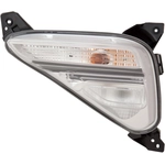 Order Passenger Side Rear Fog Lamp Assembly by DEPO - 323-1327R-AC For Your Vehicle