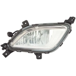 Order Passenger Side Rear Fog Lamp Assembly - KI2893102 For Your Vehicle