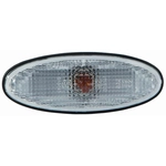Order Passenger Side Repeater Lamp by DEPO - 216-1405N-AQ-C For Your Vehicle