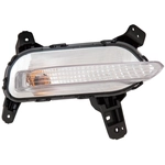 Order Passenger Side Repeater Lamp by DEPO - 323-1605R-AC For Your Vehicle