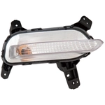 Order Passenger Side Repeater Lamp by DEPO - 323-1605R-AS For Your Vehicle