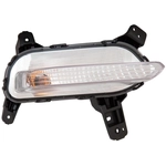 Order Passenger Side Repeater Lamp - KI2571101C For Your Vehicle