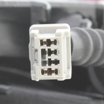 Order Passenger Side Taillamp Assembly - NI2801200 For Your Vehicle