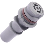 Order PCV Valve by BWD AUTOMOTIVE - PCV534 For Your Vehicle