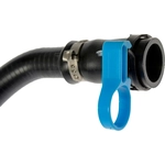 Order PCV Valve Hose by DORMAN/HELP - 46134 For Your Vehicle