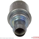 Order PCV Valve by MOTORCRAFT - EV250A For Your Vehicle