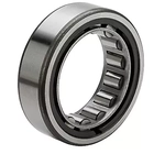 Order NATIONAL BEARINGS - M5204TV - Cylindrical Outer Race For Your Vehicle