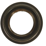 Order TIMKEN - 710480 - Rear Differential Pinion Seal For Your Vehicle