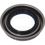 Order Pinion Seal by WJB - WS710958 For Your Vehicle