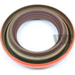 Order Pinion Seal by WJB - WS719316 For Your Vehicle