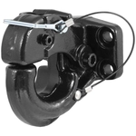 Order Pintle Hook by CURT MANUFACTURING - 48210 For Your Vehicle
