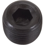 Order Pipe Plug by EDELBROCK - 9126 For Your Vehicle