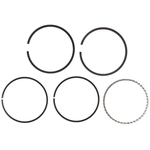 Order MAHLE ORIGINAL - S50564CP - Piston Ring Set For Your Vehicle