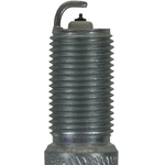 Purchase Platinum Plug by CHAMPION SPARK PLUG - 3017