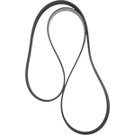 Order Power Steering And Water Pump Belt by CONTINENTAL - 17365MK For Your Vehicle