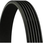 Order CONTINENTAL - 7PK1635 - Rib Belt For Your Vehicle