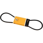 Order CONTINENTAL - 10X1025 - V-Belt For Your Vehicle