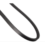 Order CONTINENTAL - 17335 - Accessory Drive Belt - Automotive V-Belt For Your Vehicle