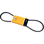 Order courroie de direction assistée de CRP/CONTITECH - 11-9X1013 For Your Vehicle