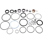 Order SUNSONG NORTH AMERICA - 8401176 - Steering Gear Rebuild Kit For Your Vehicle