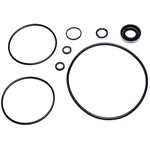 Order SUNSONG NORTH AMERICA - 8401019 - Power Steering Pump Seal Kit For Your Vehicle