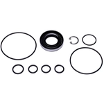 Order SUNSONG NORTH AMERICA - 8401213 - Power Steering Pump Seal Kit For Your Vehicle