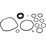Order SUNSONG NORTH AMERICA - 8401485 - Power Steering Pump Seal Kit For Your Vehicle