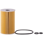 Order ECOGARD - X10231 - Oil Filter For Your Vehicle