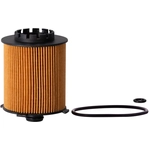 Order ECOGARD - X11890 - Oil Filter For Your Vehicle