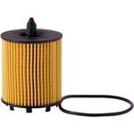 Order ECOGARD - X5436 - Oil Filter For Your Vehicle