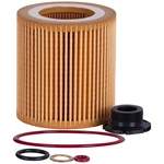 Order ECOGARD - X5607 - Oil Filter For Your Vehicle