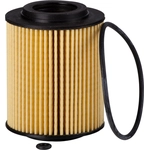 Order Premium Oil Filter by ECOGARD - X5646 For Your Vehicle