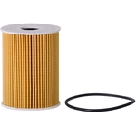 Order ECOGARD - X5691 - Oil Filter For Your Vehicle