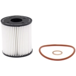 Order FRAM - XG10066 - OIL FILTER For Your Vehicle