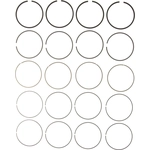 Order MAHLE ORIGINAL - 42100CP.020 - Premium Piston Rings For Your Vehicle