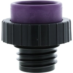 Order Adaptateur de testeur de pression de MOTORAD - 12427S For Your Vehicle