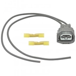 Order BWD AUTOMOTIVE - PT2519 - Electrical Connecteur For Your Vehicle