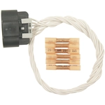 Order Radiator And Condenser Fan Connector by BWD AUTOMOTIVE - PT978 For Your Vehicle
