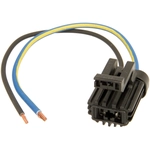 Order FOUR SEASONS - 37229 - Blower Motor Connector For Your Vehicle