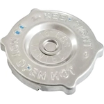 Order SKP - SK10231 - Radiator Cap For Your Vehicle