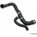 Order Radiator Coolant Hose by GENUINE OE - 211 501 46 82 For Your Vehicle