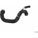 Order Radiator Coolant Hose by GENUINE OE - 211 501 51 82 For Your Vehicle